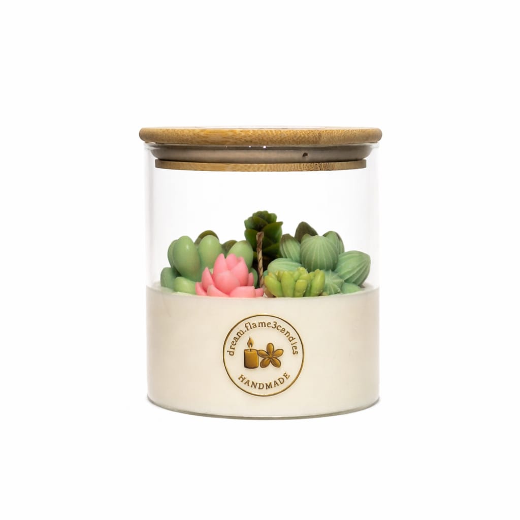 Oasis Succulent Garden