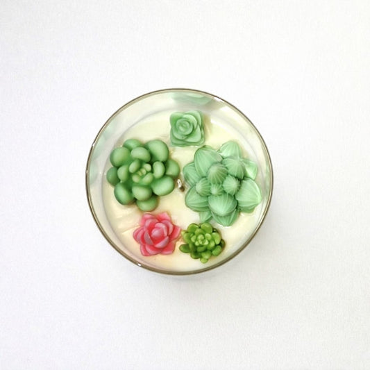 Oasis Succulent Garden