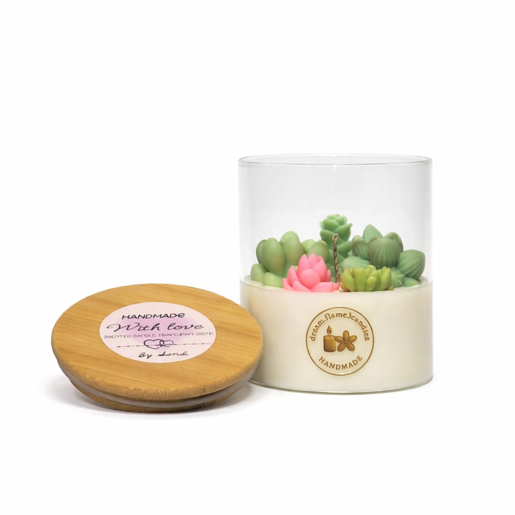 Oasis Succulent Garden